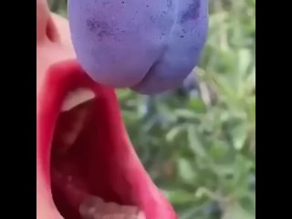 purple plums